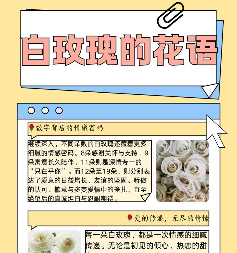 玫瑰花的花语大全是什么？玫瑰花的寓意及花语有哪些？