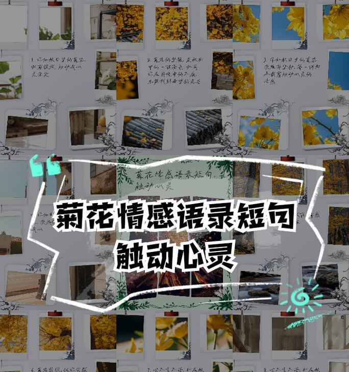 简短的菊花相关句子适合四年级学生吗？如何创作？