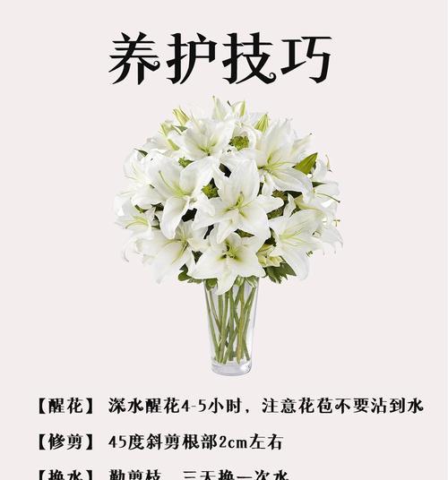 玫瑰百合的花语是什么意思？代表了哪些情感？