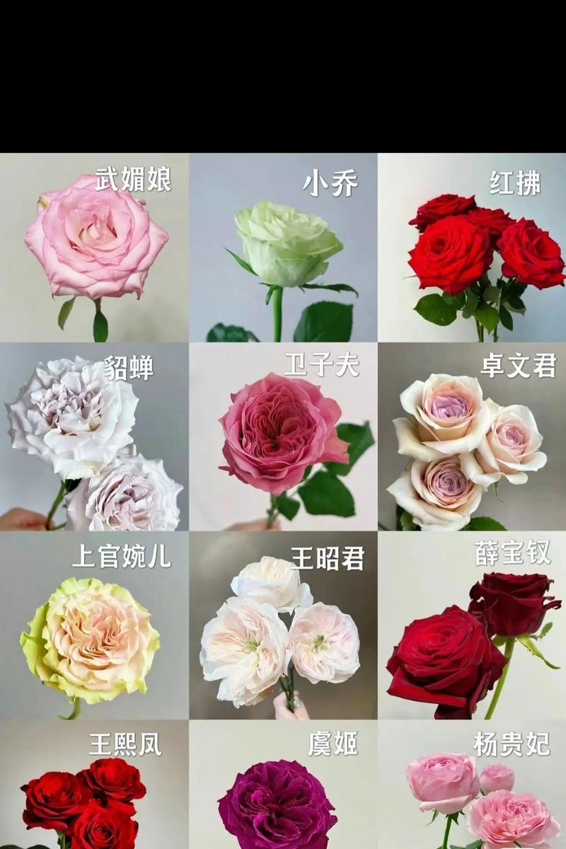 1298朵玫瑰花代表什么？视频能完整展示其含义吗？