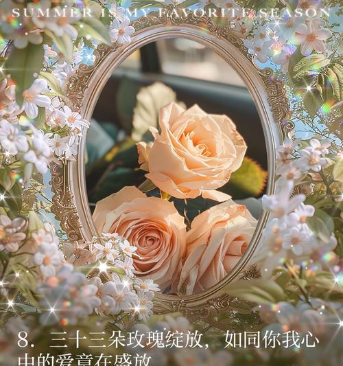 239朵玫瑰花代表什么？它的正确读音是什么？