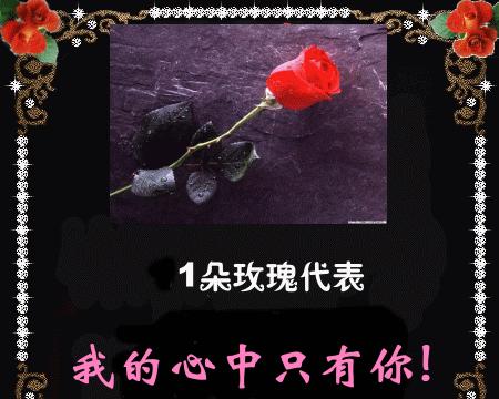 1321朵玫瑰花的含义是什么？有哪些图片可以欣赏？