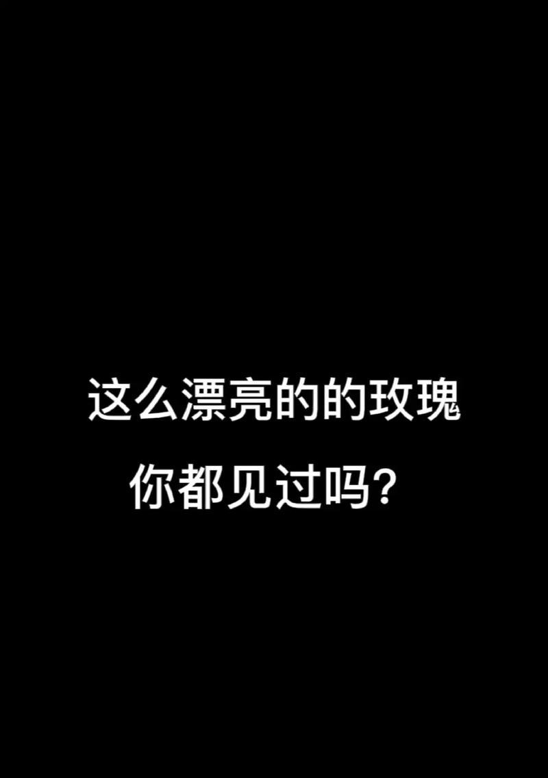 108朵玫瑰花的含义是什么？有什么特别含义吗？