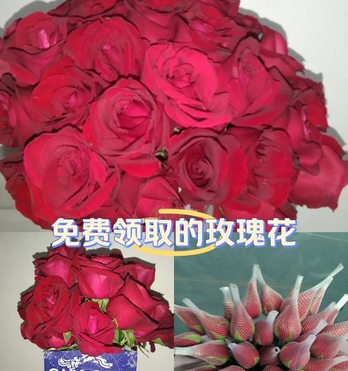 男生送33朵玫瑰花的含义是什么？33朵玫瑰花代表了什么？