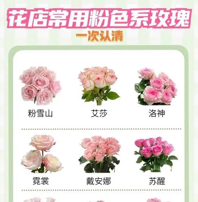 388朵玫瑰花代表什么意思？如何理解这种花语的含义？