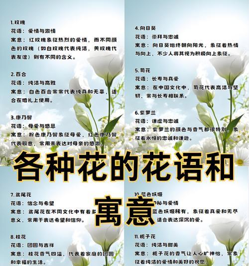 21朵玫瑰加11朵百合代表什么？图片展示的含义是什么？