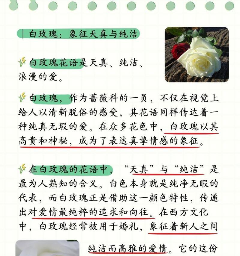 22只玫瑰的寓意是什么？送22只玫瑰花有何深意？