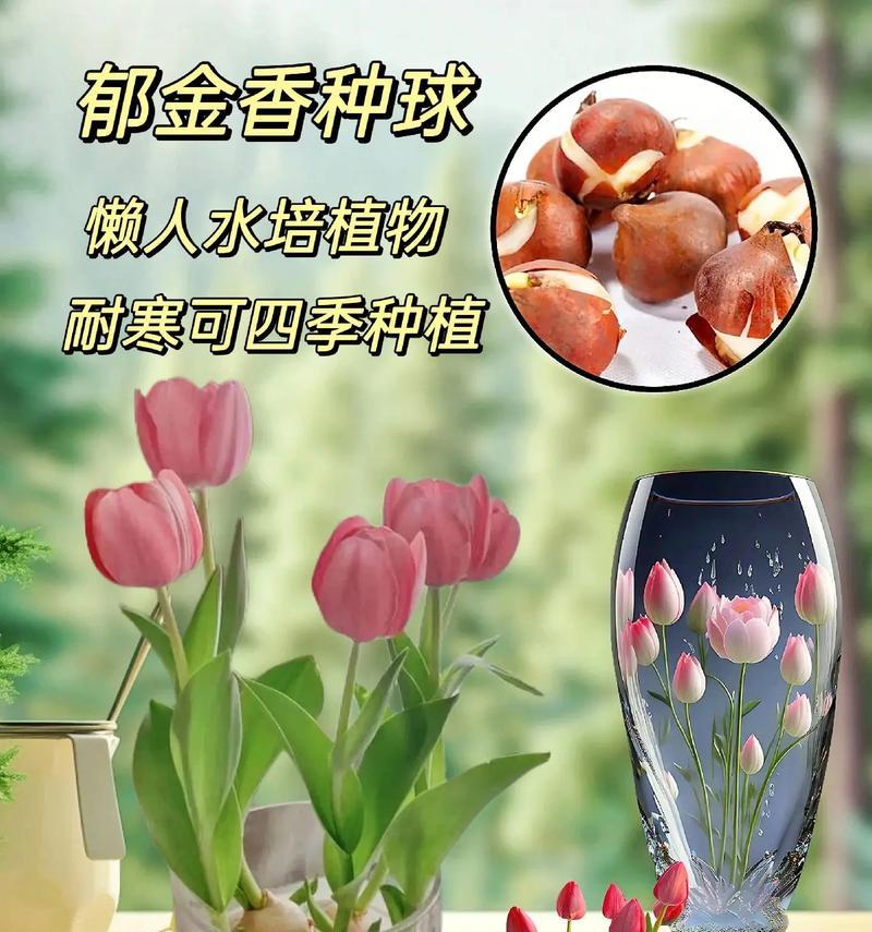 花卉种子和绿植有哪些品种？