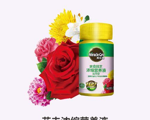 植物盆栽营养盒有哪些作用？