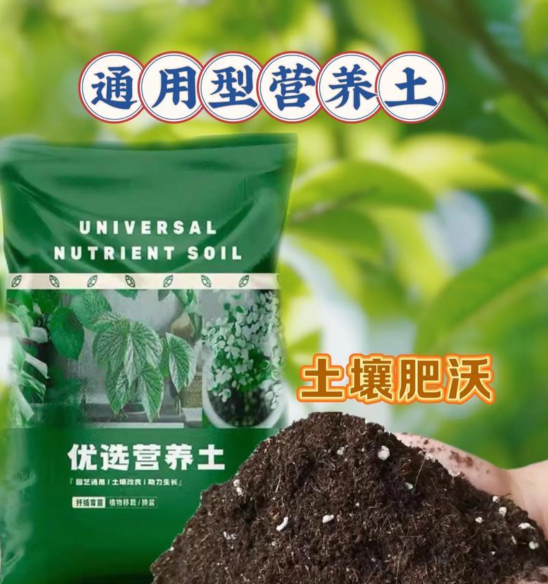 植物盆栽营养盒有哪些作用？