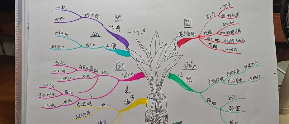 叶绿植物怎么出状态？如何调整环境条件促进其生长？