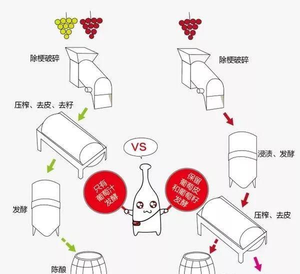 纯植物酵母酒的种类和选择方法是什么？