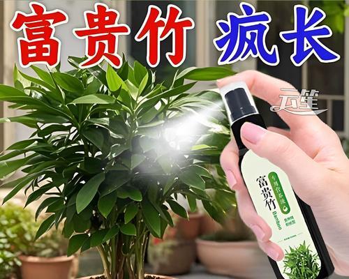 植物喷什么可以防止叶子掉落？