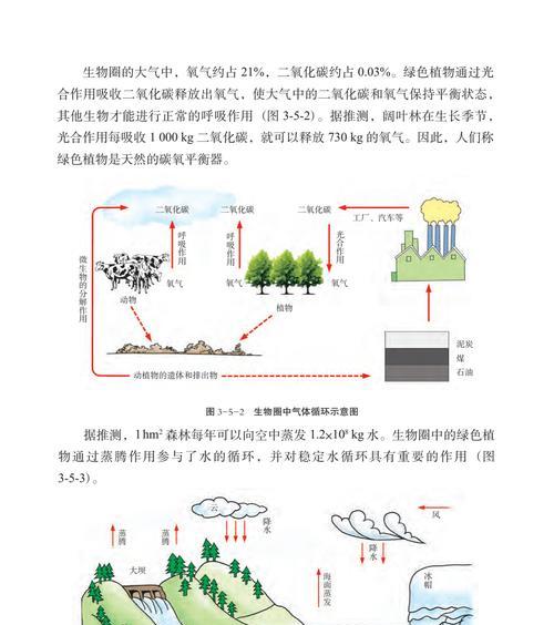 植物与现实植物之间存在哪些关系？它们如何相互影响？