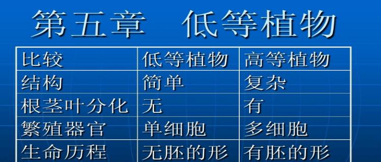 植物与现实植物之间存在哪些关系？它们如何相互影响？