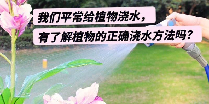 户外植物如何进行保温处理？给户外植物保温有哪些有效方法？