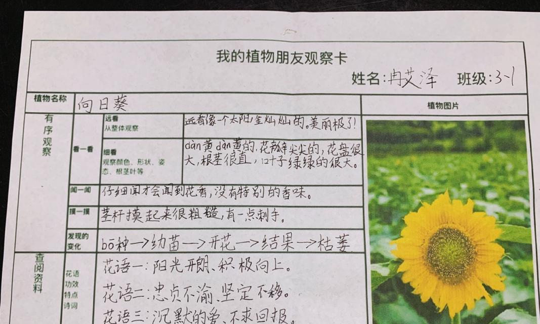 如何记录植物的变化观察？有哪些写作技巧？