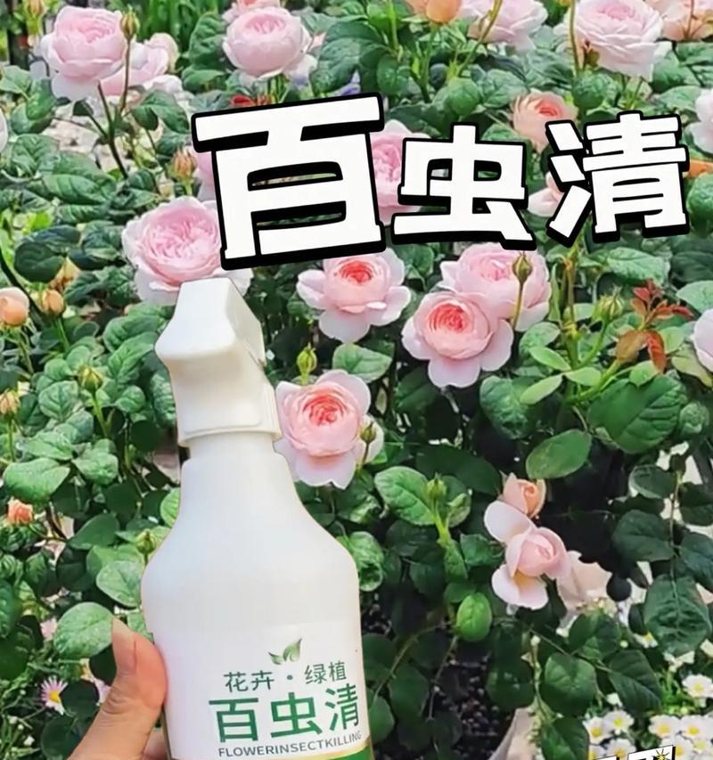 花卉土壤杀虫有哪些有效方法？如何选择合适的杀虫剂？