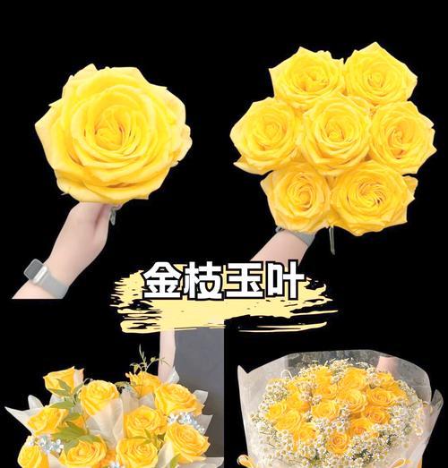 黄玫瑰的花语是什么？黄玫瑰代表什么含义？