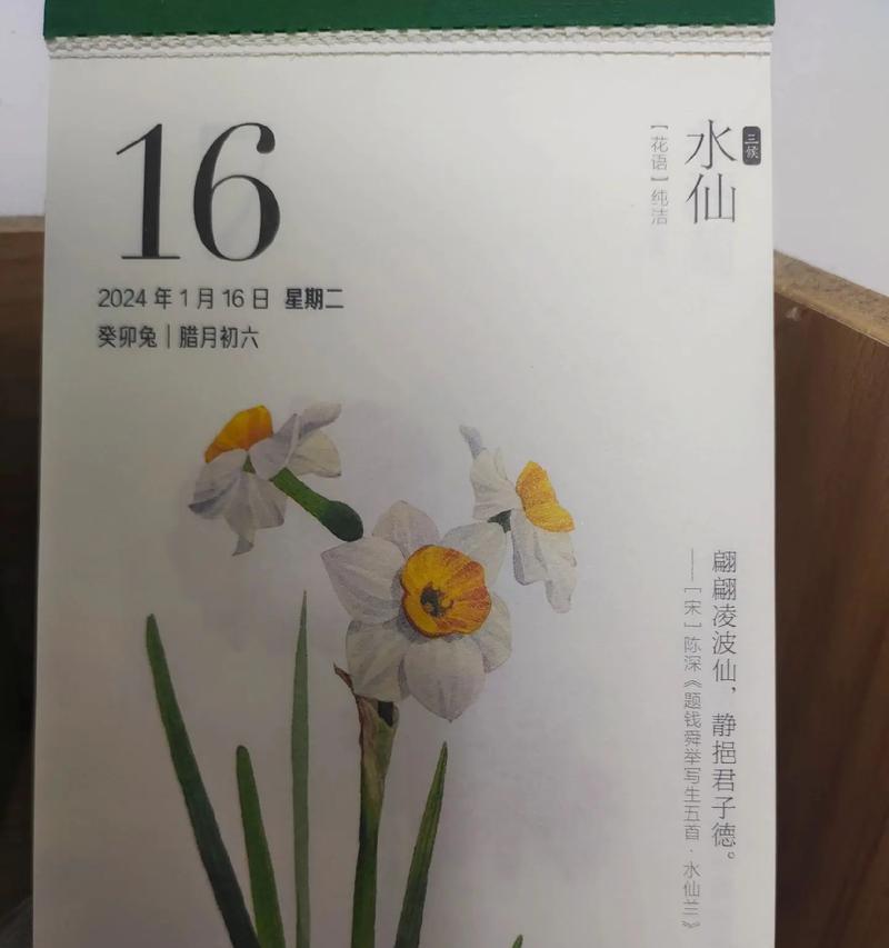 水仙花的花语有哪些？