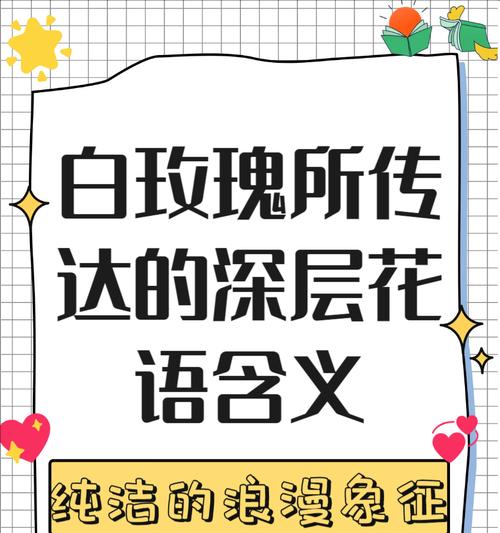 白色冰玫瑰花在花卉语言中象征着什么？它在特殊场合中代表了什么？