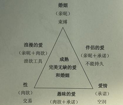 柏拉图玫瑰花的花语有何深意？柏拉图式爱情与玫瑰花有何关联？