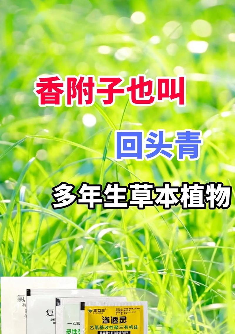 负温度系数农药的定义及其作用是什么？