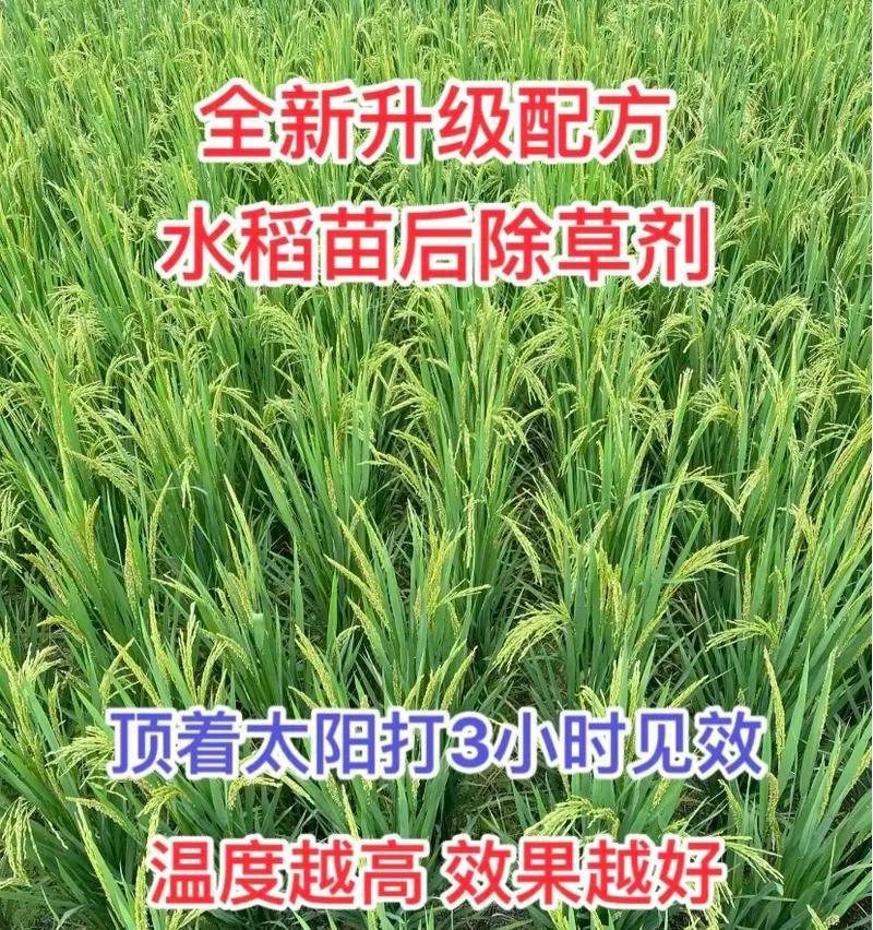 王炸水稻除草剂有何特殊含义？