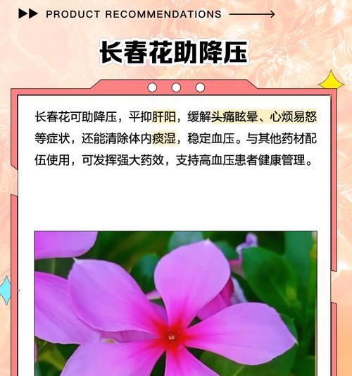 神奇花卉的意思解释是什么？神奇花卉的寓意是什么？