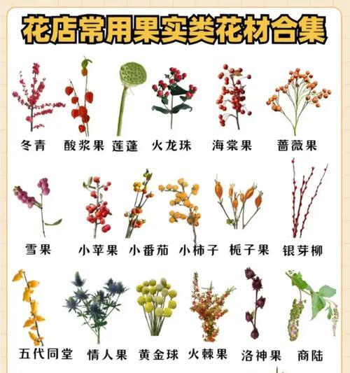 火龙珠花语代表了什么？