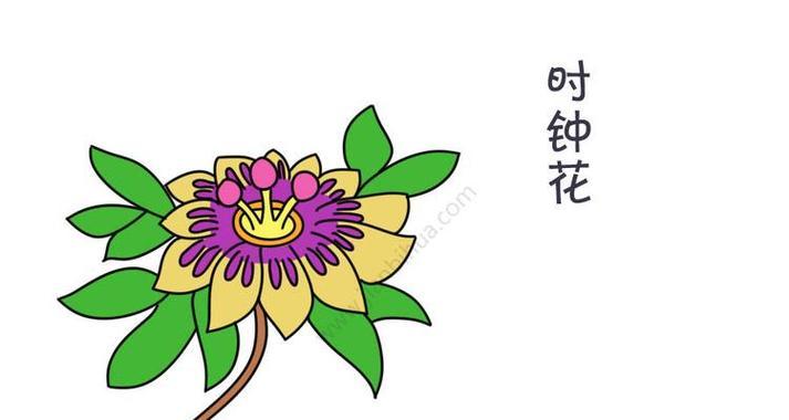 花卉时钟上的花有哪些？花卉时钟的制作方法是什么？