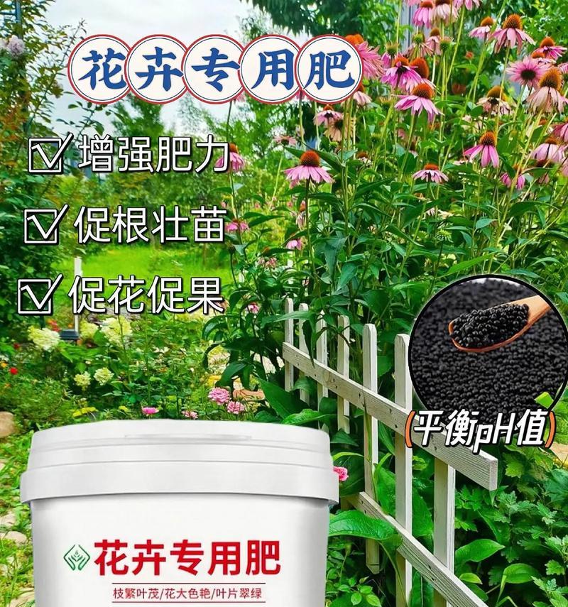 水生绿植花卉需要哪些肥料？如何选择合适的肥料？