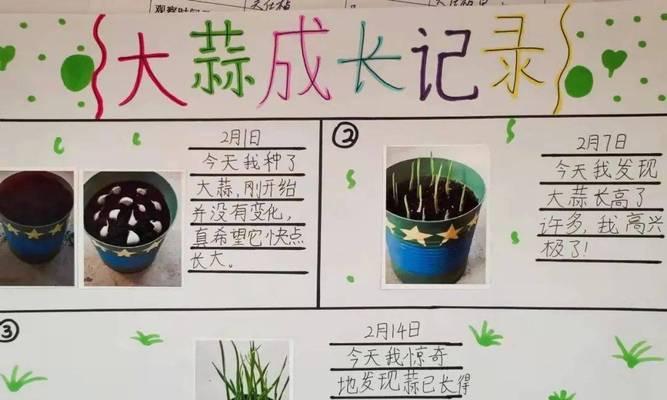 培植植物实验记录怎么写？培植植物实验记录的要点是什么？