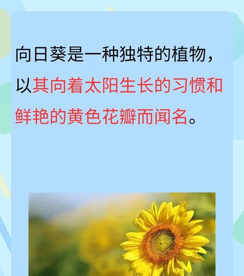 保山地区有哪些特色花卉？它们的生长条件是什么？