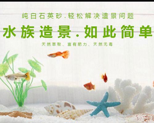 沙子鱼缸植物的正确养护方法是什么？需要注意哪些事项？