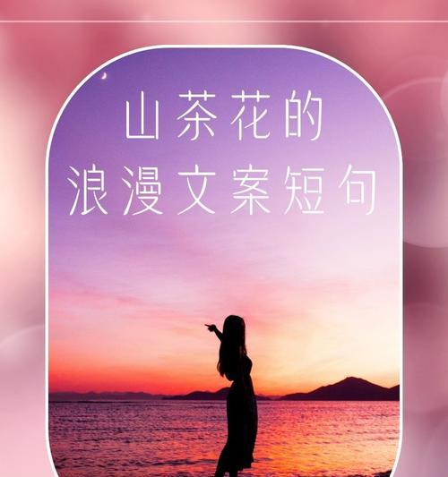 逐梦的花语和寓意是什么？哪种花象征着梦想？